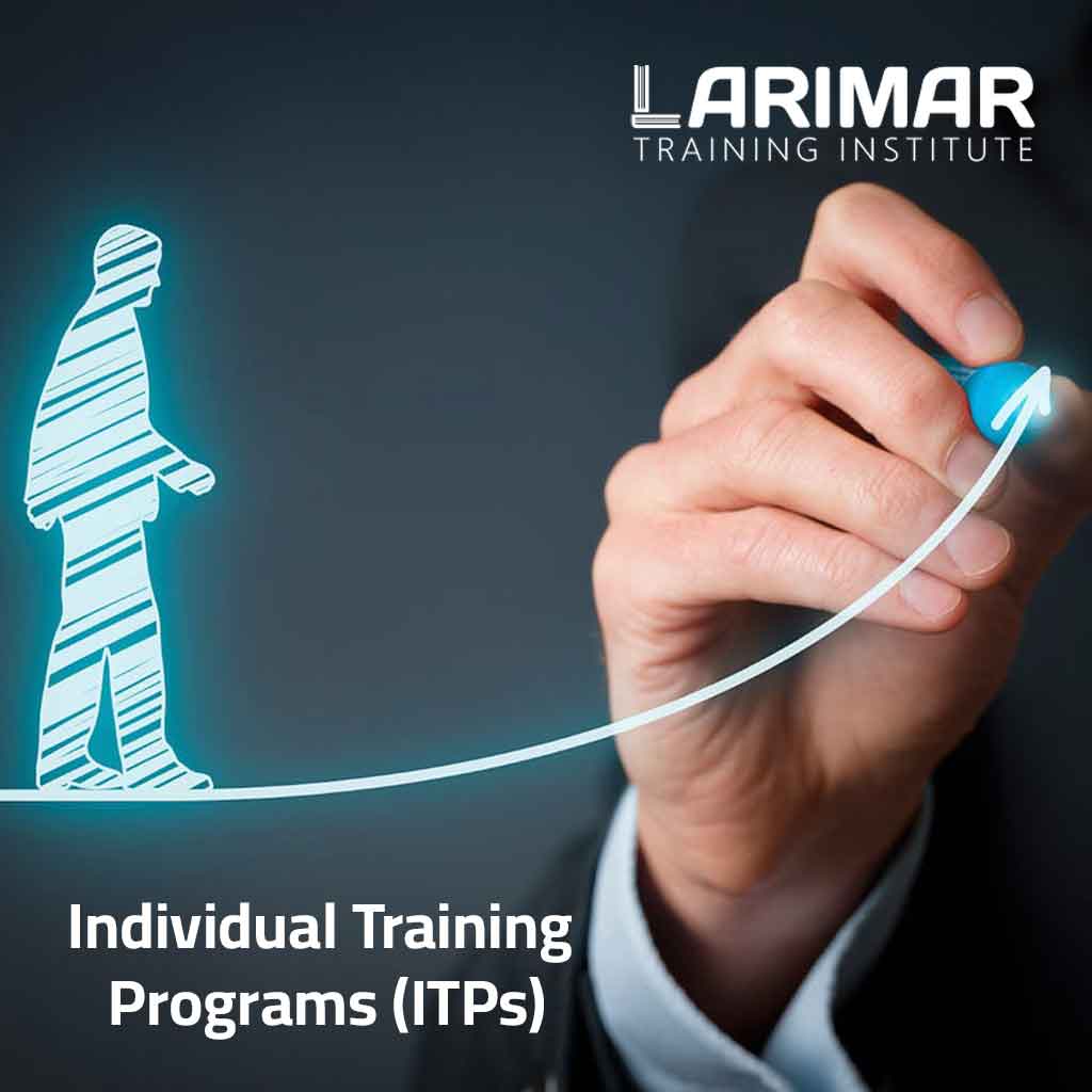 Individual Training Programs (ITPs)